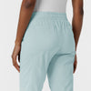 Boundless Women's Jogger Scrub Pant - Sky Blue