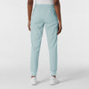 Boundless Women's Jogger Scrub Pant Sky Blue back view