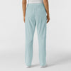 Boundless Women's Bootcut Scrub Pant Sky Blue back view