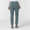 Rugged Flex FLD Women's Ripstop Jogger Scrub Pant Rolling Thunder back view