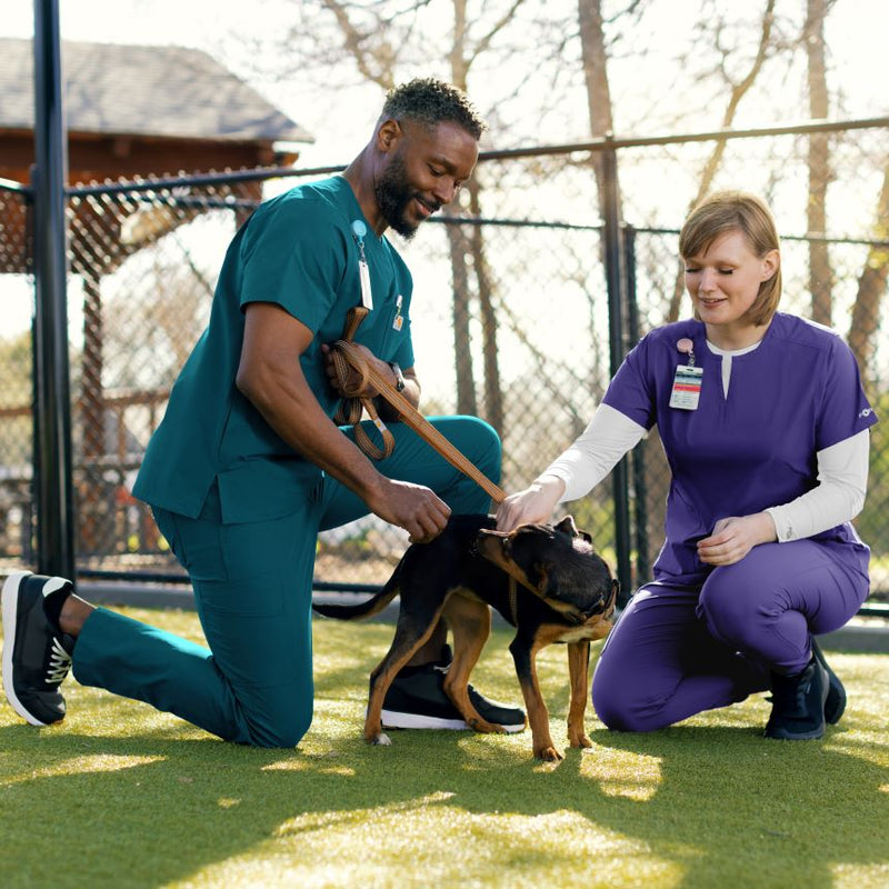 Two veterinarians examining a dog outdoors in a park-like setting wearing carhartt scrubs